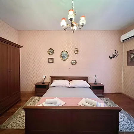 Cinthia ツリクヴェニツァ